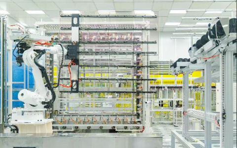 W020241119319938595249