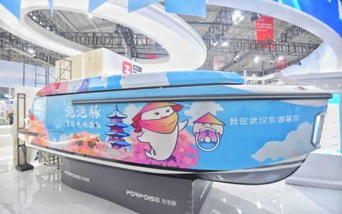 W020241121319176299122