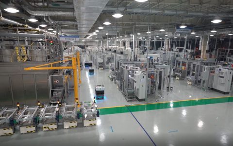 W020241122306446976745