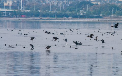 W020241122344373402574