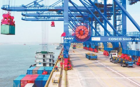 W020241126311958739111