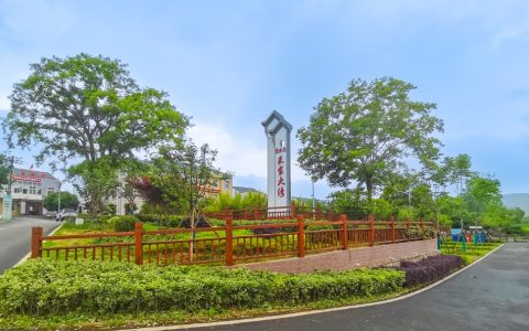 W020241126318621601829