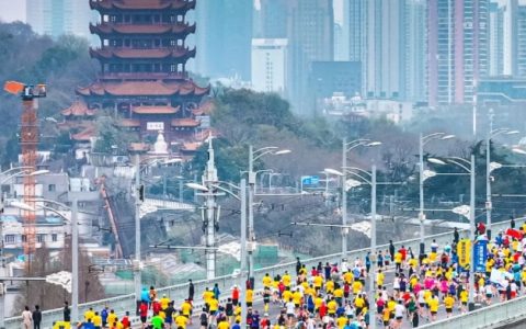 W020241126409869240566