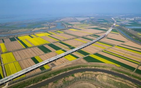 W020241127298995471455