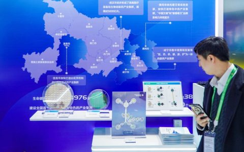 W020241127302381180101