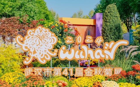 W020241202344639185720