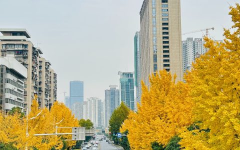 W020241210309222301824