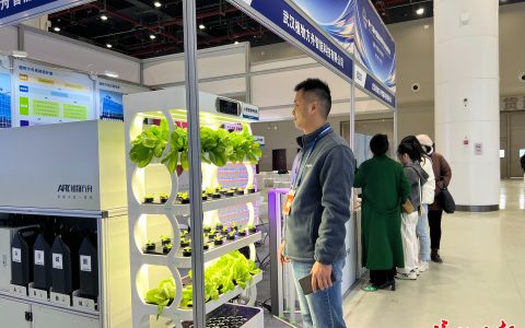 W020241211306339179554