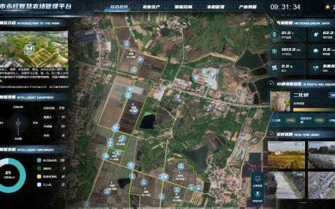 W020241211752421061860