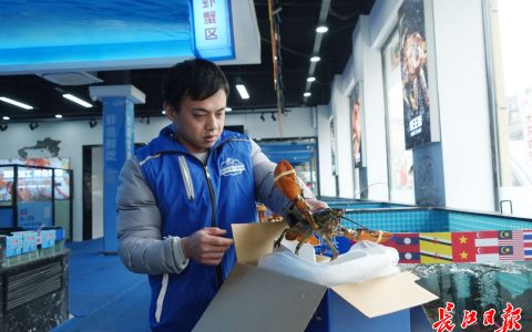 W020241212305573943463