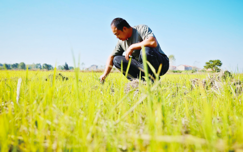 W020241213319508368804