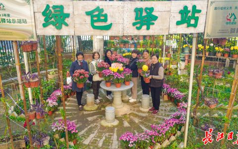 W020241213324835329274