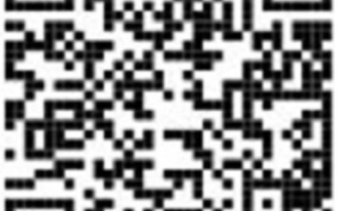 W020241216327792311311