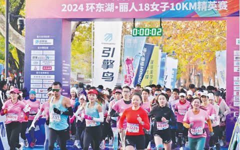 W020241216330886330424