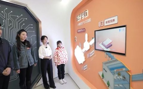 W020241217316866660347