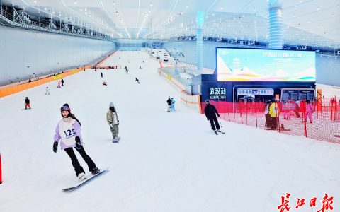 W020241221693240576781