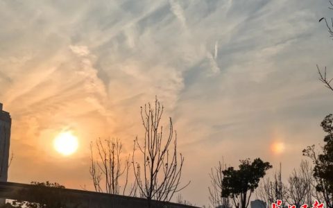 W020241222364838483484