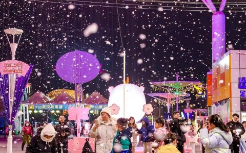 W020241222620856115768