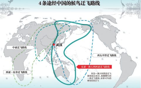 W020241224311283214744