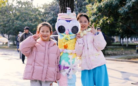 W020241224668862297498