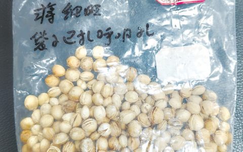 W020241225301139608790