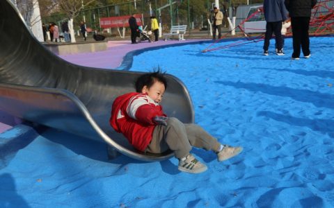 W020241225331237846841