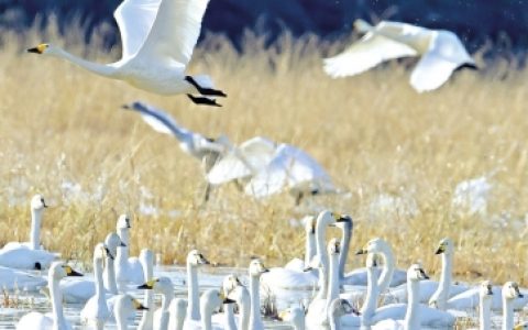 W020250101320879940033