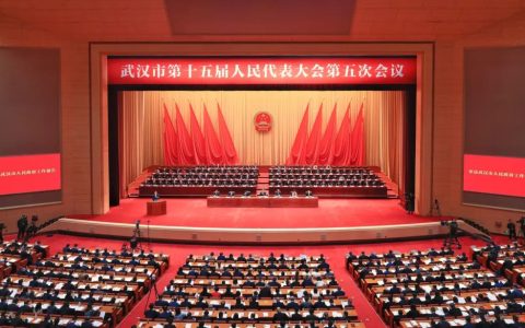 W020250108782730633306