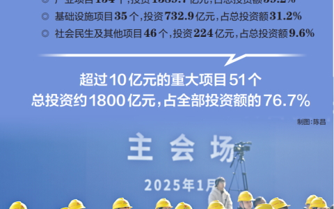 W020250113312339074505