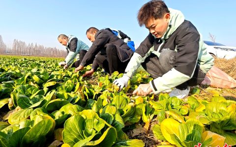 W020250113324304183479