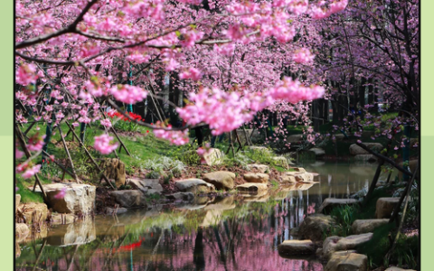 u=3963534793,2166923600&fm=253&fmt=auto&app=138&f=PNG