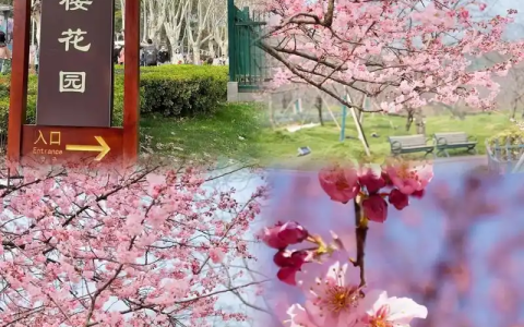 16b83881j00ssmwgr01imd000m800tnp