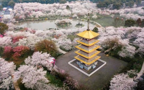 389b2505d4584474a0bb5dc8d9e08763