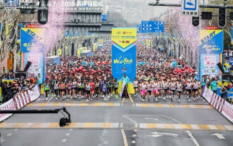 7dcc181eb6a54bd1895f87a14c3f865e