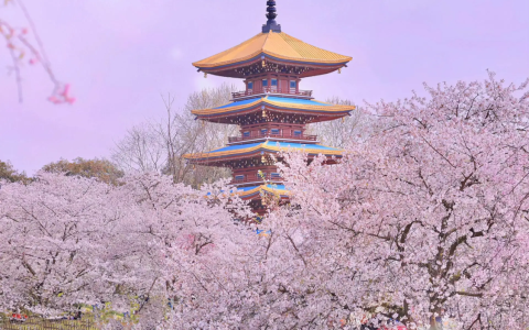 a20e0f75j00stegdl0274d000v9015pp