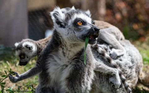 湖北这座城，都是担当！