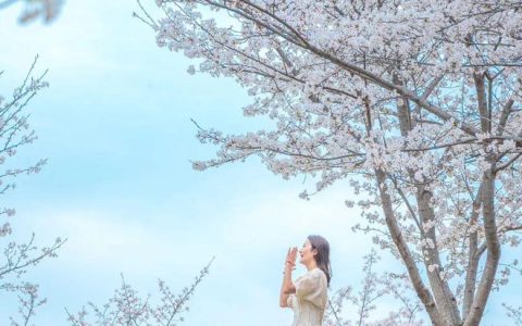 全国春游来武汉，武汉春游奔黄陂