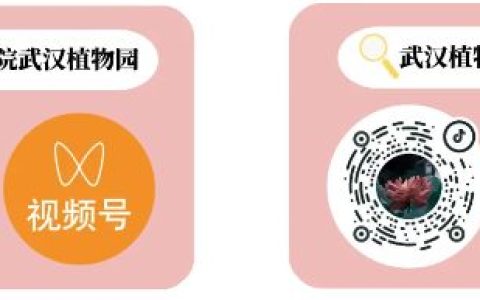 2025武汉植物园清明节有活动吗?