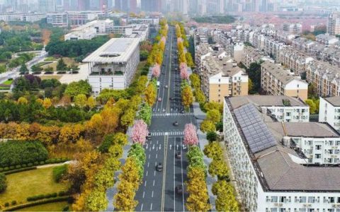 快了！光谷这条主干道即将通车！