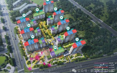 纠结！光谷7盘大乱斗！该如何选？