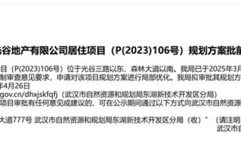 效果图曝光！光谷四代住宅再+1！