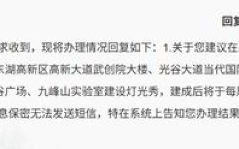 华丽变身！光谷这些地方将建设灯光秀！