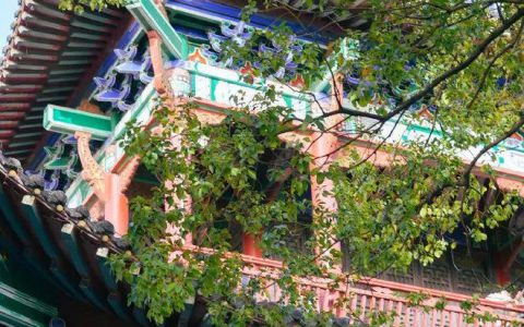 5月开挂！武汉19个好消息强势刷屏！