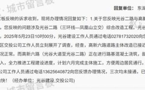 6月完工！光谷这一拥堵路段，即将疏通！