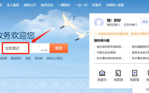 湖北政务服务网怎么办理出生登记手续？附流程图解