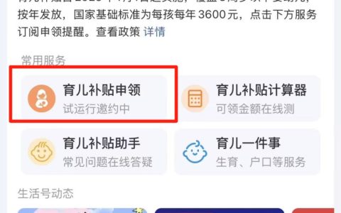 2025湖北育儿补贴怎么申请领取（指南大全）