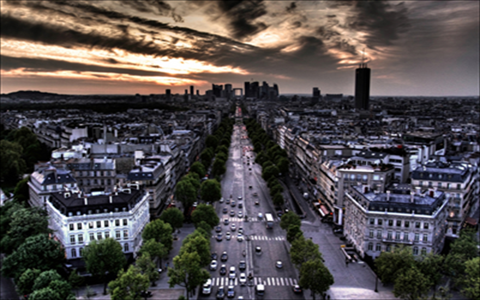 花蚊子防控建议