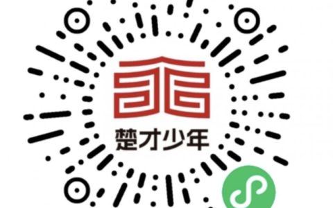 2025武汉楚才作文结果查询入口+查询流程