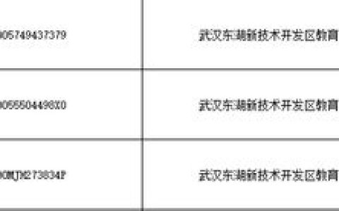 光谷三家幼儿园关停，第一张倒下的骨牌